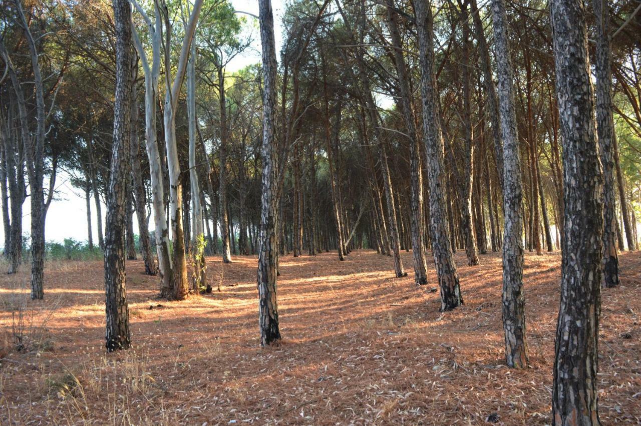 Apartamento Oasi Del Governatore Squillace Exterior foto